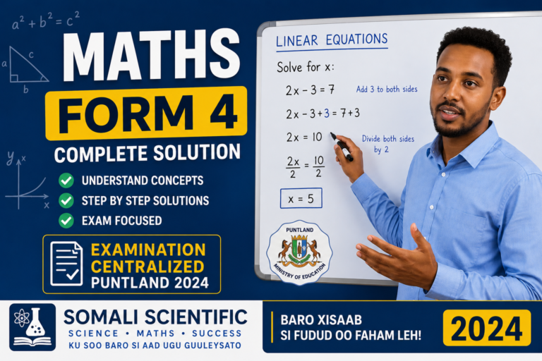 Mathematics Centralized Exam 2024 – Solutions